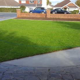 A domestic front path and lawn.