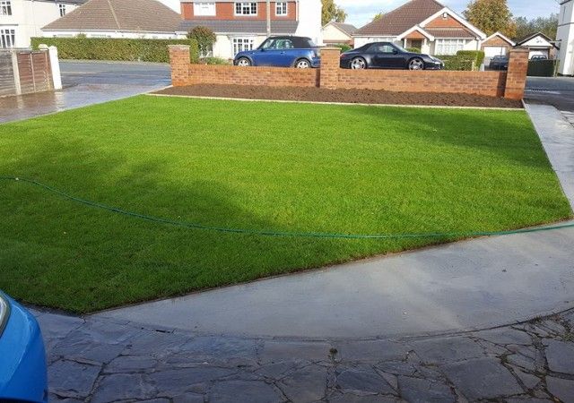 A domestic front path and lawn.